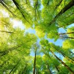 Measuring the low-carbon energy transition in Chinese cities