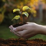 Europe races for energy competitiveness as global ‘Green Wars’ intensify